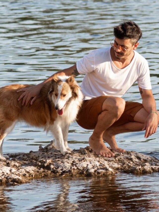 A Water Safety Guide For Dogs: Keeping Your Pup Safe And Happy Around Water