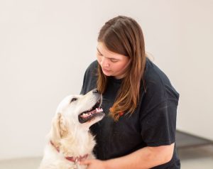 Dog training at home