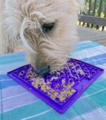 dog lick mat