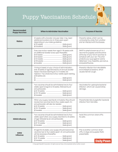 Puppy vaccination schedule